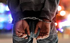 Antlers and a pistol were found during raids, and a BMC engineer was detained for accumulating assets 148% above his pay.